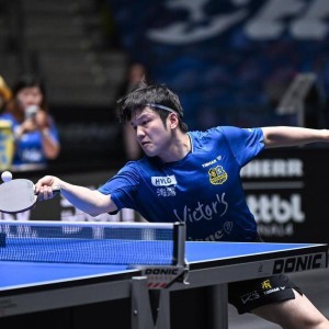 8.18日：樊振东1赛季完成德甲顶级转会豪门杜塞尔多夫创历史高薪